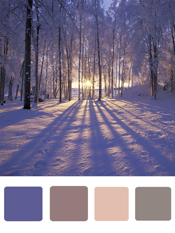 I have been researching Winter wedding colors and have narrowed it down to 2